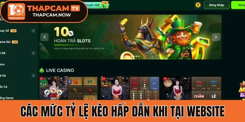 Các mức tỷ lệ kèo bóng thú vị tại Zo88
