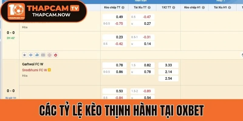 Các tỷ lệ kèo thịnh hành tại Oxbet