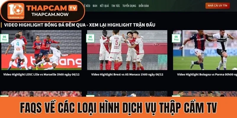 Câu hỏi thường gặp về dịch vụ website thap cam tv