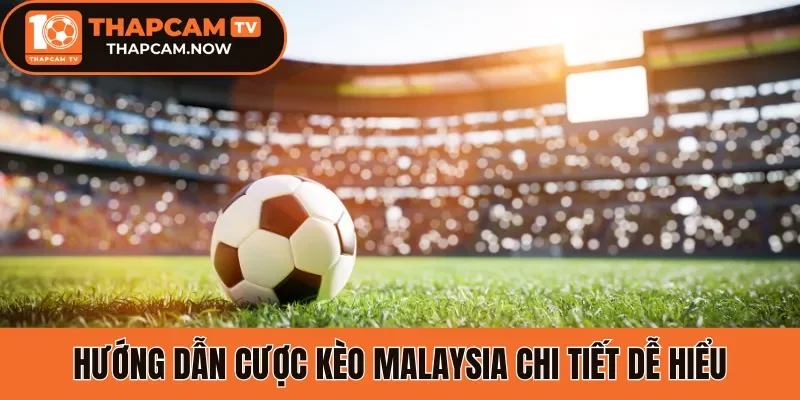 Hướng dẫn cược kèo Malaysia chi tiết dễ hiểu