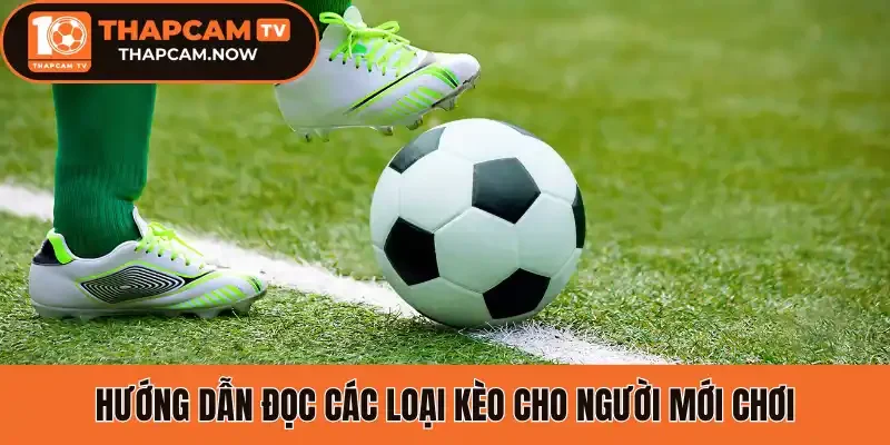 Hướng dẫn đọc các loại kèo cho người mới chơi