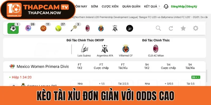 Kèo tài xỉu đơn giản với Odds cao