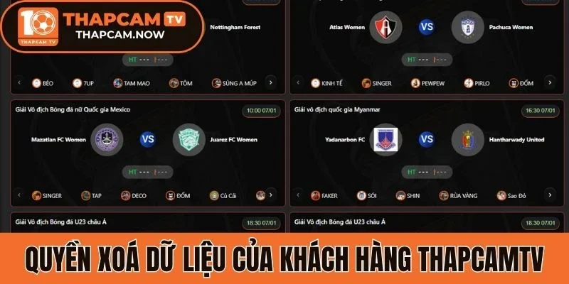 Quyền xoá dữ liệu của khách hàng Thapcamtv