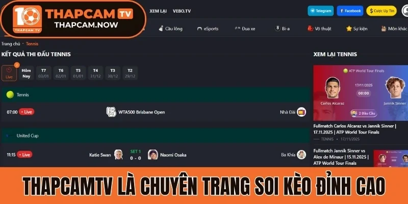Thapcamtv là chuyên trang soi kèo đỉnh cao