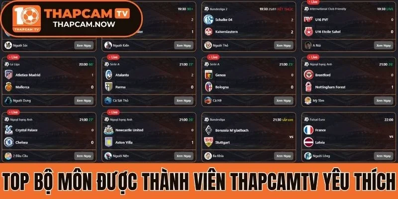 Top bộ môn được thành viên thapcamtv yêu thích