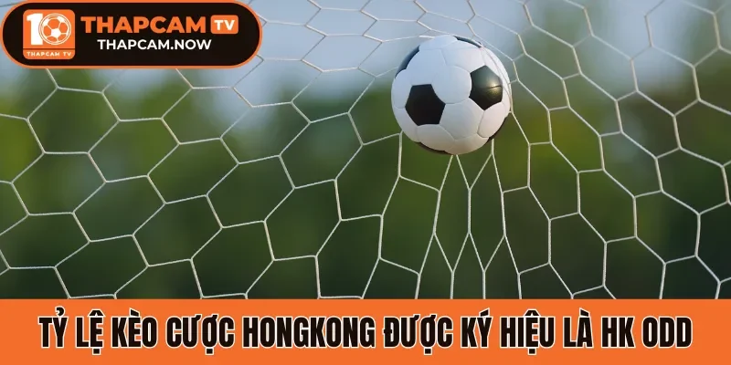 Tỷ lệ kèo cược Hongkong được ký hiệu là HK Odd