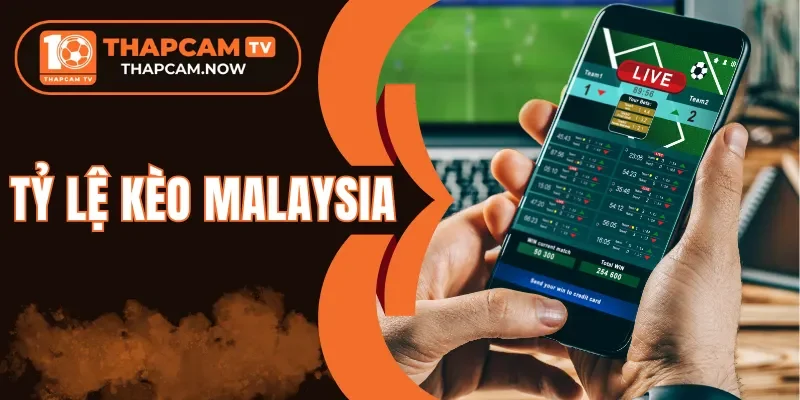 Hướng dẫn cược kèo Malaysia chi tiết dễ hiểu