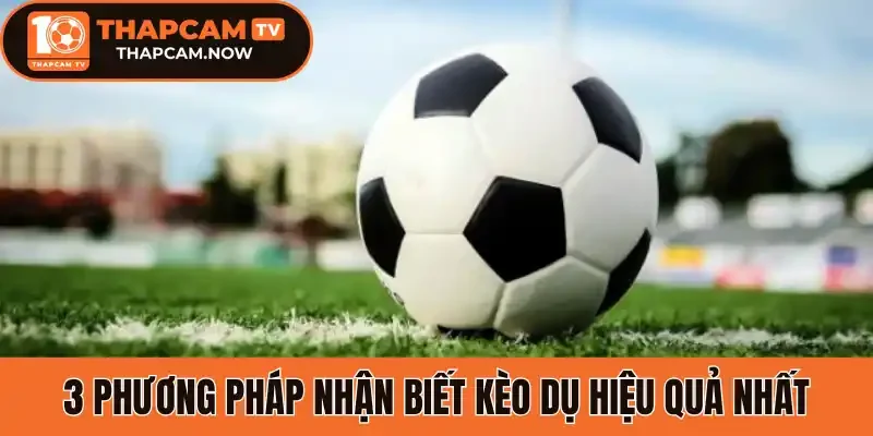 3 phương pháp nhận biết kèo dụ hiệu quả nhất