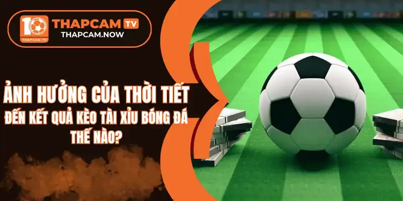 Sức gió mạnh là yếu tố then chốt ảnh hưởng đến kèo O/U