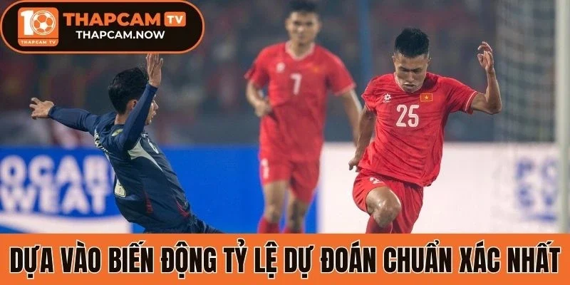 Dựa vào biến động tỷ lệ dự đoán chuẩn xác nhất