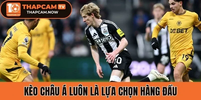 Kèo châu Á luôn là lựa chọn hàng đầu