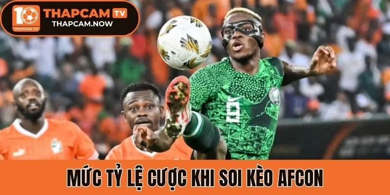 Mức tỷ lệ cược khi soi kèo AFCON