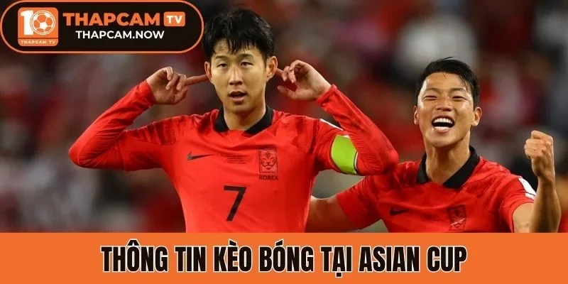 Thông tin về soi kèo Asian Cup