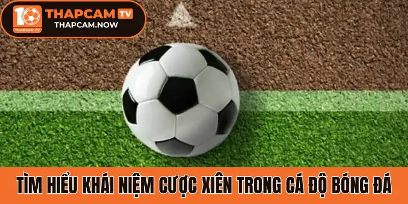 Tìm hiểu khái niệm cược xiên trong cá độ bóng đá